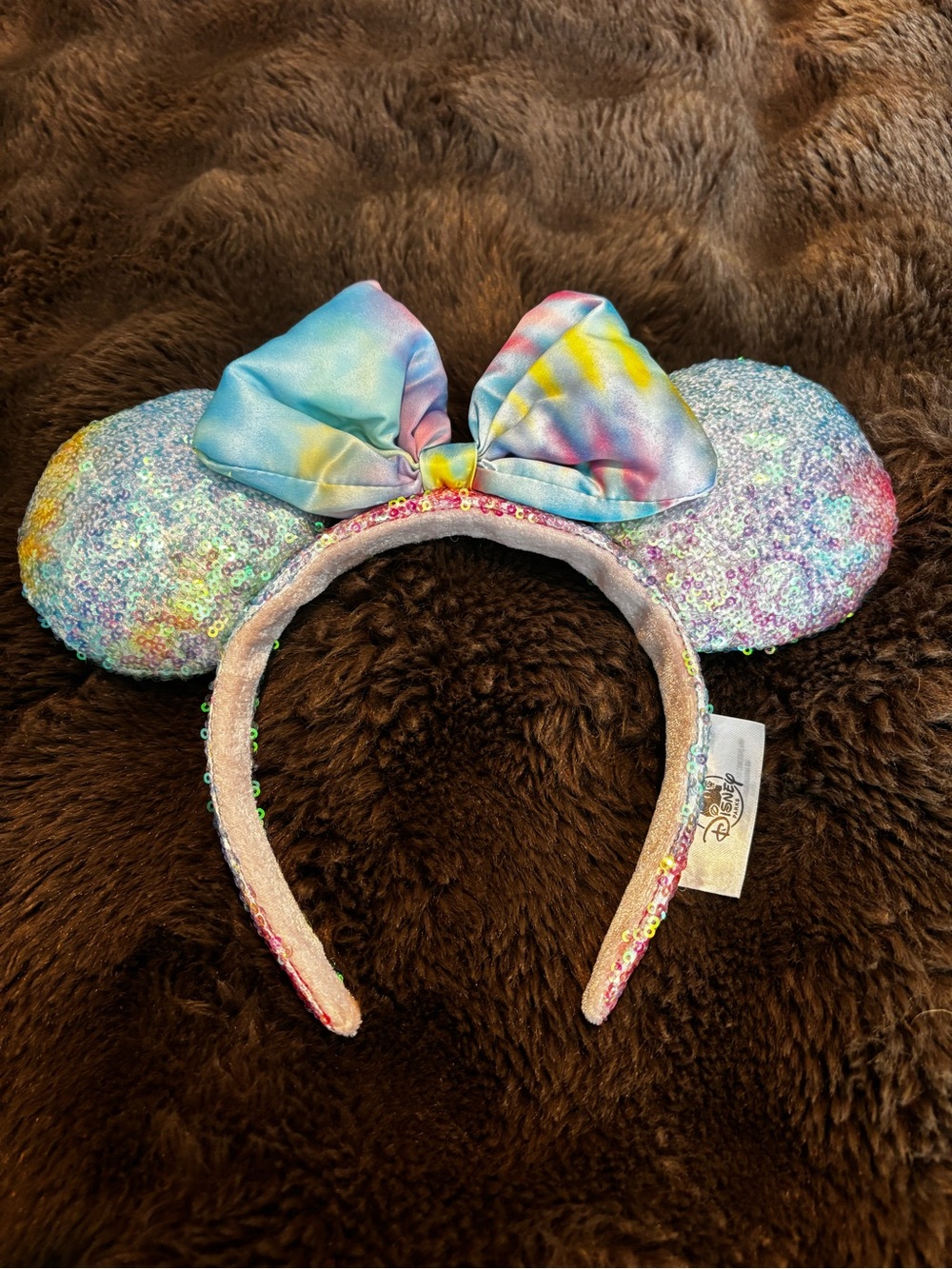 Disney Mickey Ears